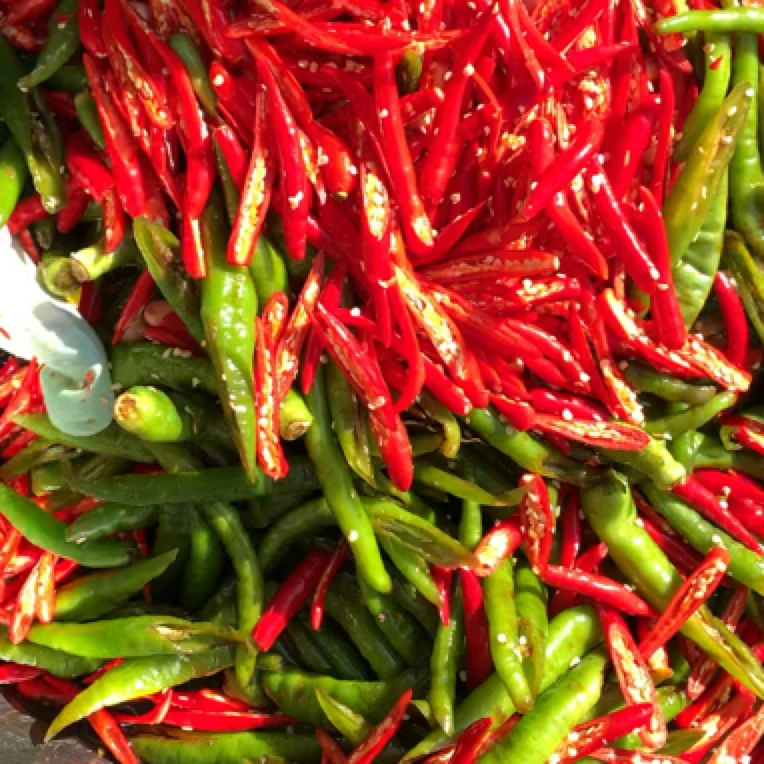 腌辣椒辣椒酱下饭菜花生腌辣椒香辣下饭农家腌辣椒