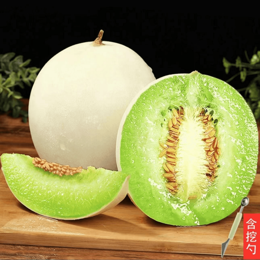 山东头茬玉菇甜瓜软糯香甜现摘现发应季4.5斤(送挖勺）