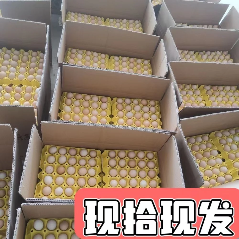 土鸡蛋10枚新鲜农家一整箱鲜鸡蛋单枚40克无菌整箱现捡现发好营养