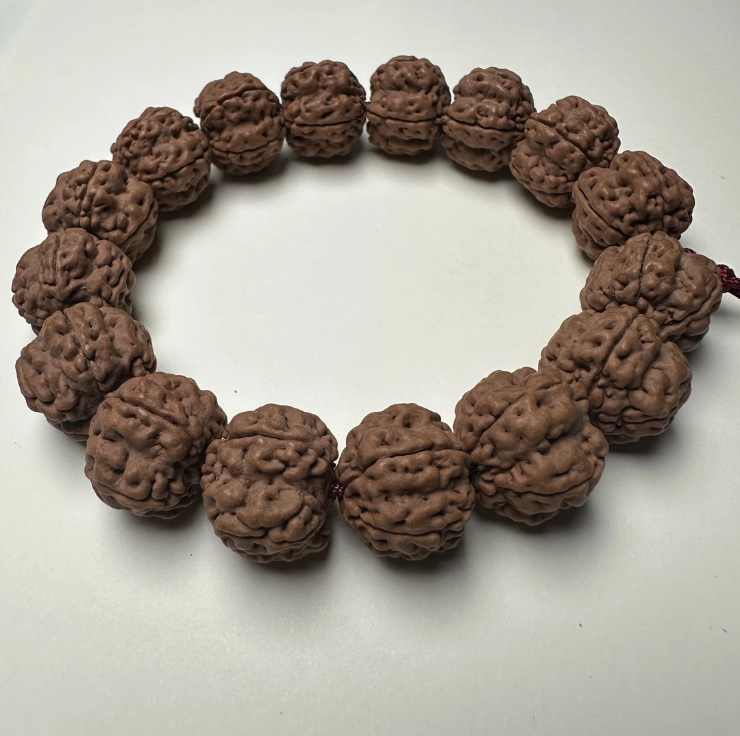 帝王花小金刚大尺寸