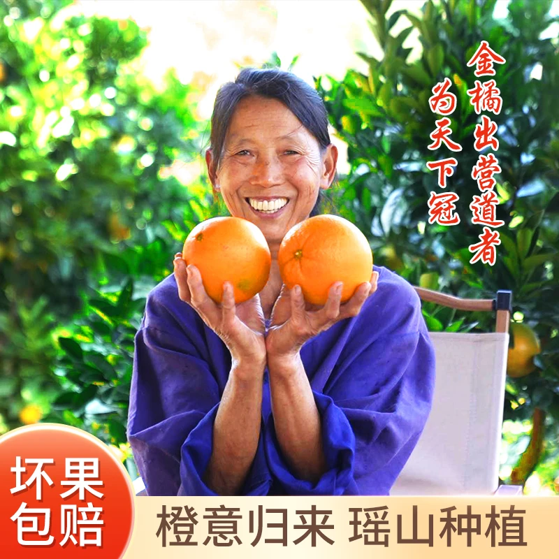 正宗湖南道州脐橙天然种植果园采摘直发新鲜橙子鲜甜多汁5/10斤