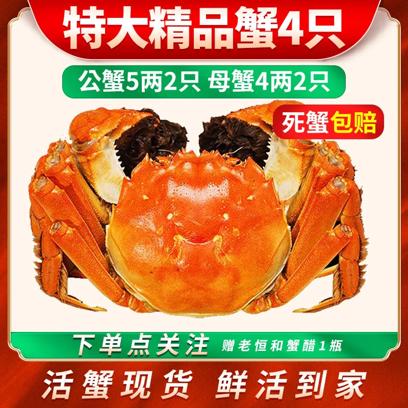 【活蟹】特大鲜活大闸蟹公4.8-5.1两母蟹3.8-4.1两礼盒4-8只苏州发