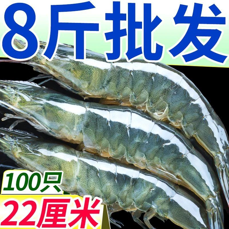 新鲜青岛大虾特大号虾子大虾鲜活批发活冻虾批发海鲜水产一整箱