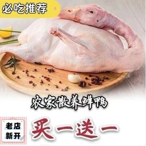 【买一只送一只】农家鸭子散养现杀新鲜鸭子土鸭冷冻鸭子整只
