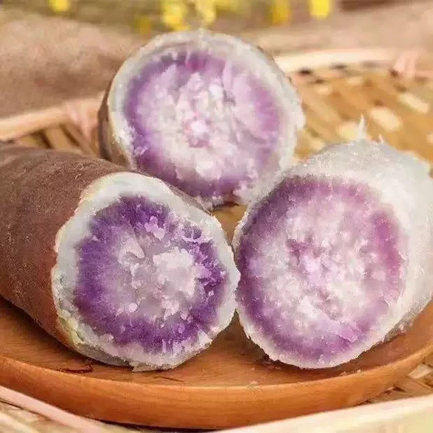 湘西高山/冰淇淋红薯/5斤净重