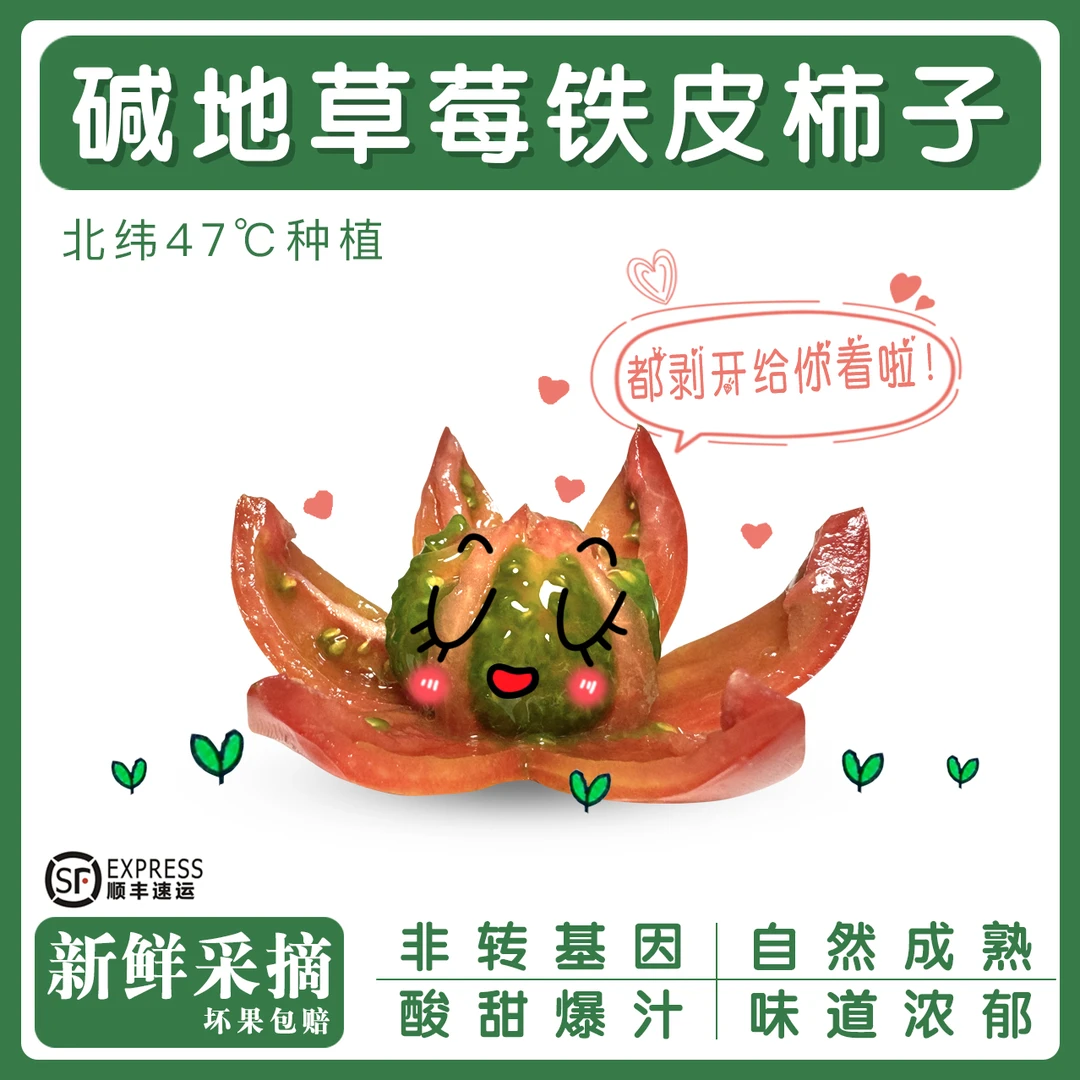 3斤中碱地铁皮柿子老味番茄生吃孕妇水果新鲜酸甜西红柿口感林甸