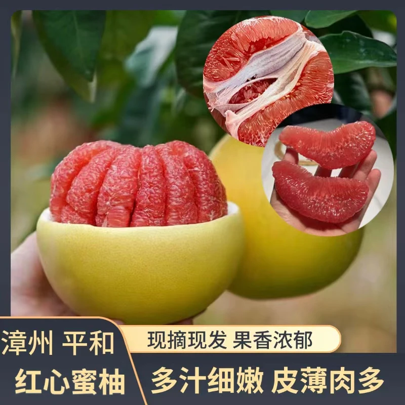 【老树头茬】红心蜜柚带箱9-10斤2-3个装天然树熟新鲜清甜多汁带F