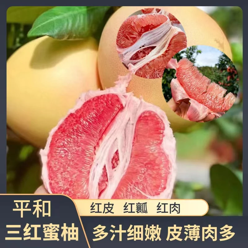 【平和蜜柚】福建平和正宗琯溪蜜柚三红柚 红心柚子 新鲜应季水果