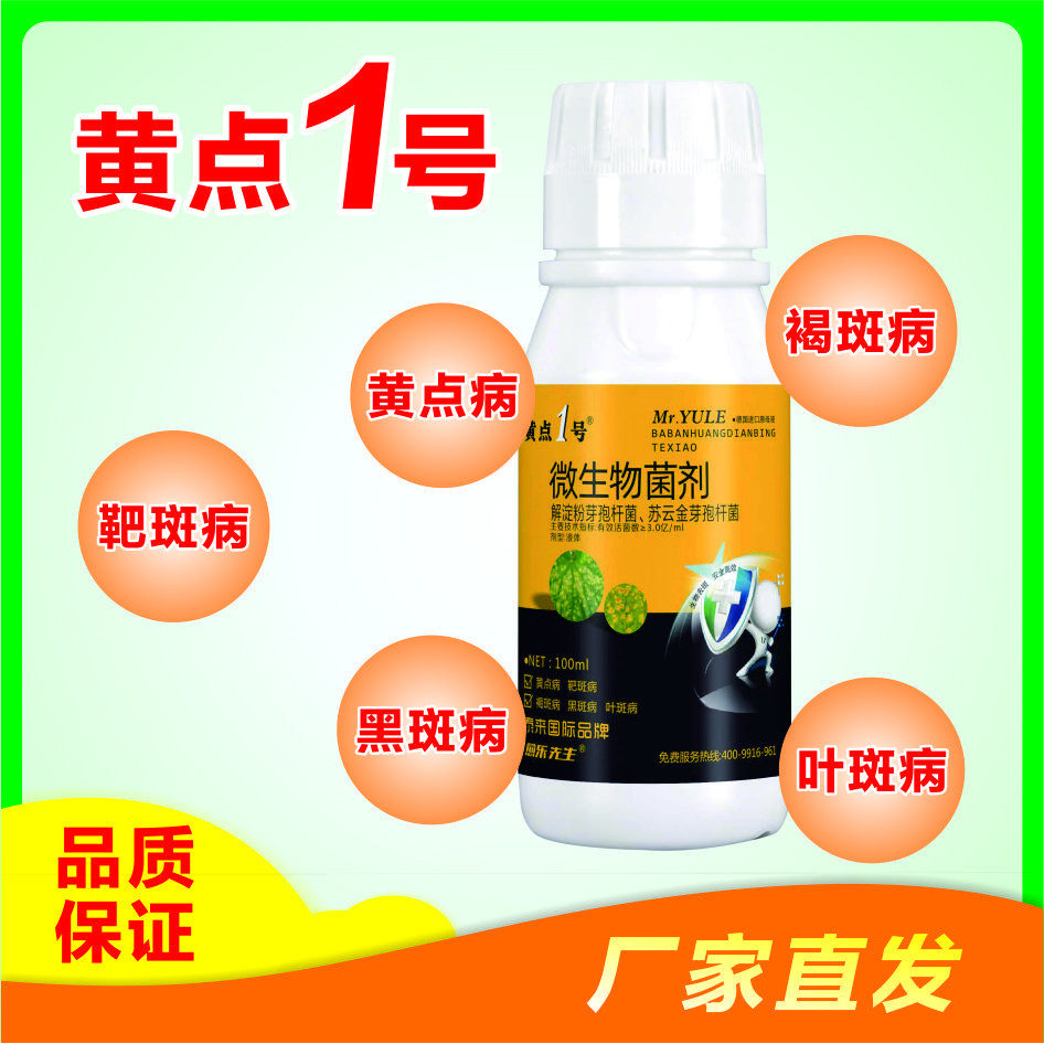靶斑黄瓜黄点一号小黄点有效微生物菌剂叶面肥病菌防病病害