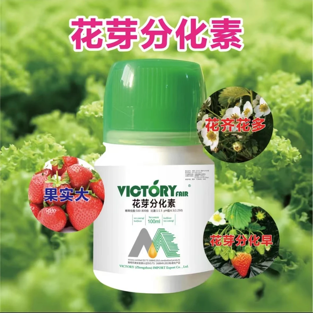 花芽分化素授粉开花现蕾分化细胞分裂草莓黄瓜果树番茄保花