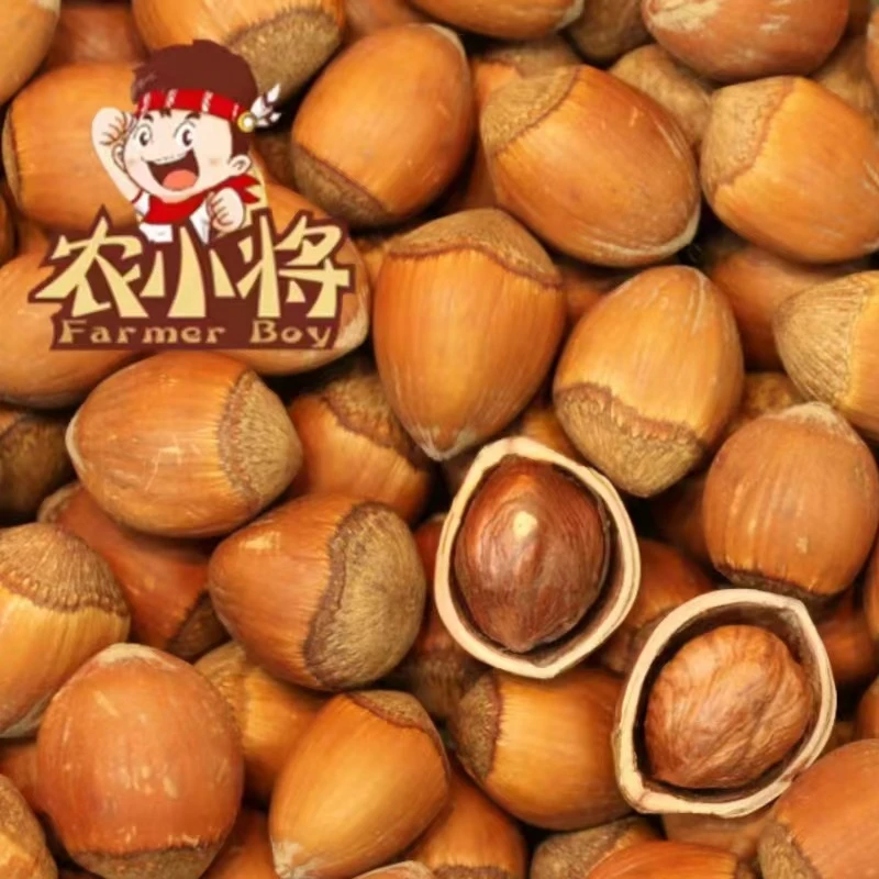 铁岭玉坠榛子 东北特产 现炒现发 （送钳子）皮薄  【榛子坚果】