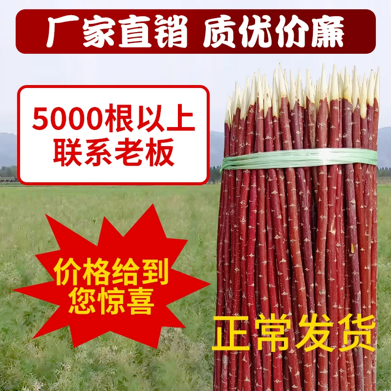 红柳签子批发红柳烧烤签子红柳枝烧烤签子3035厘米红柳烤肉签字