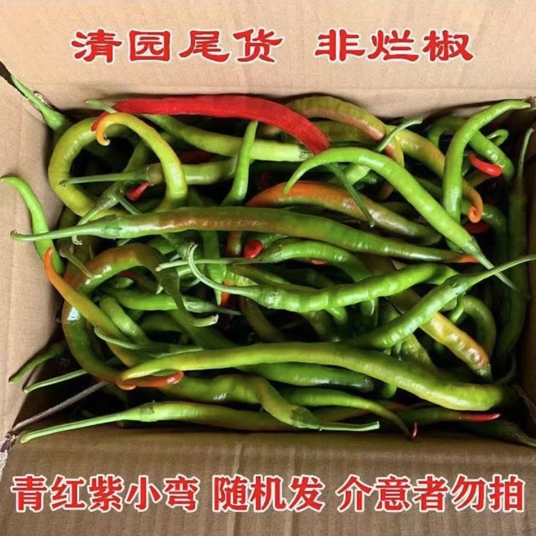 新鲜紫辣椒香辣中辣现摘农家蔬菜薄皮线椒微辣花线椒青线椒二荆条