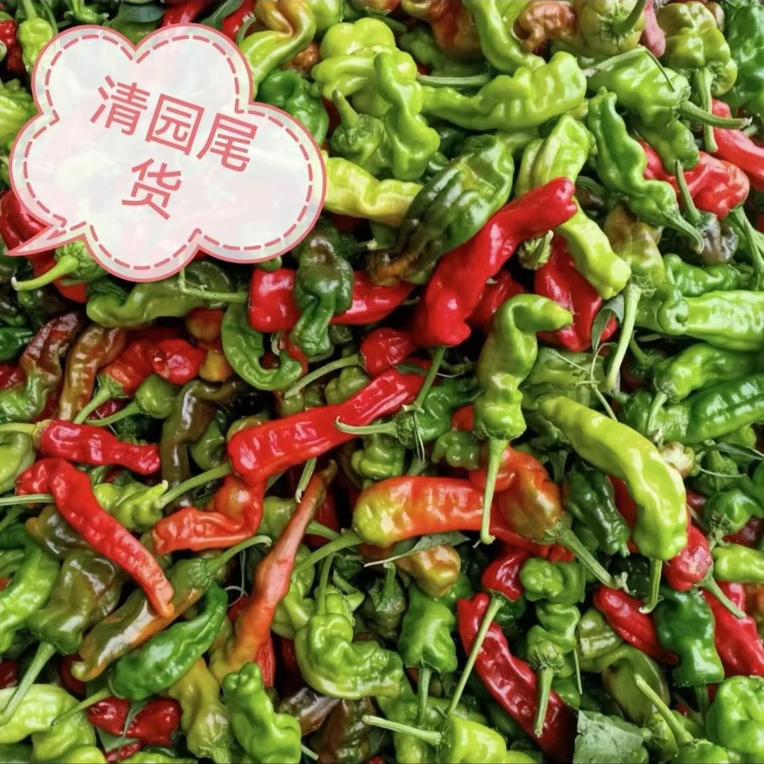 【清园尾货】新鲜特辣皱皮椒青红紫大小老嫩混合装3斤土辣椒