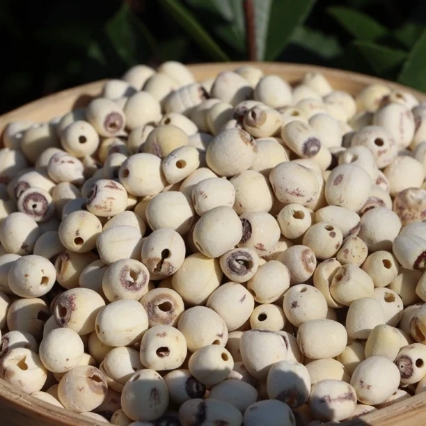 带芯白莲子 磨皮 干货 L