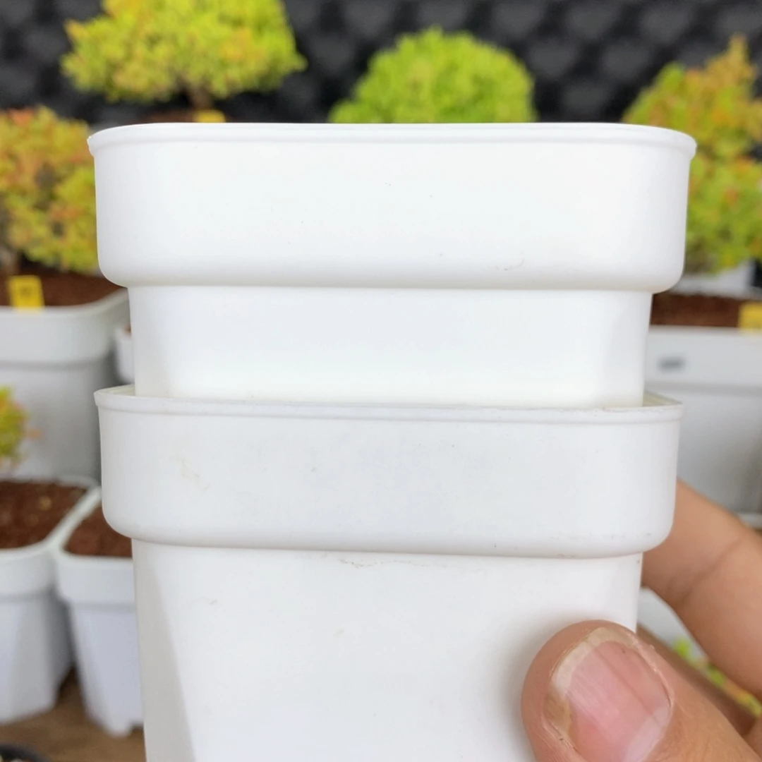 专用土1份7.5方盆2个