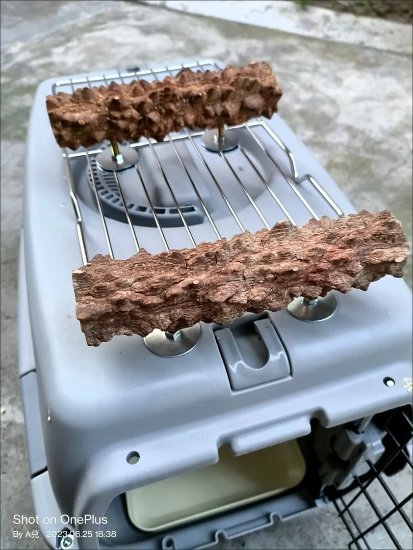 花椒木大型鸟航空箱放飞笼站架站杆