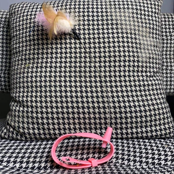 【套脖逗猫棒】猫咪自嗨解闷神器猫猫套脖羽毛项圈逗猫棒