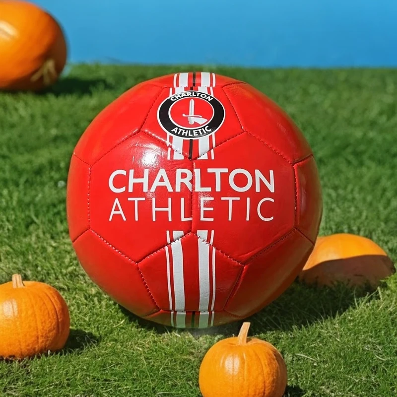 校园学校5号专用训练中小学生中考成人比赛耐磨专用足球