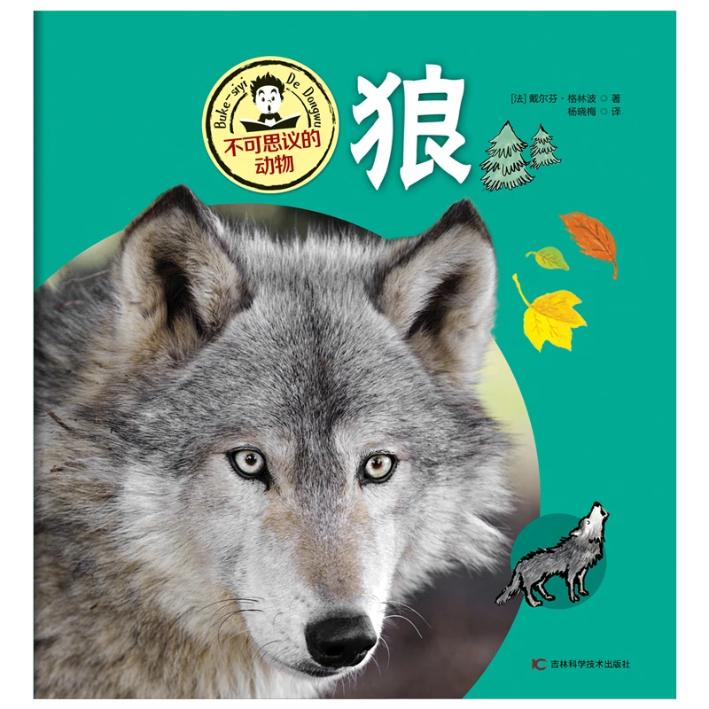 不可思议的动物-狼
