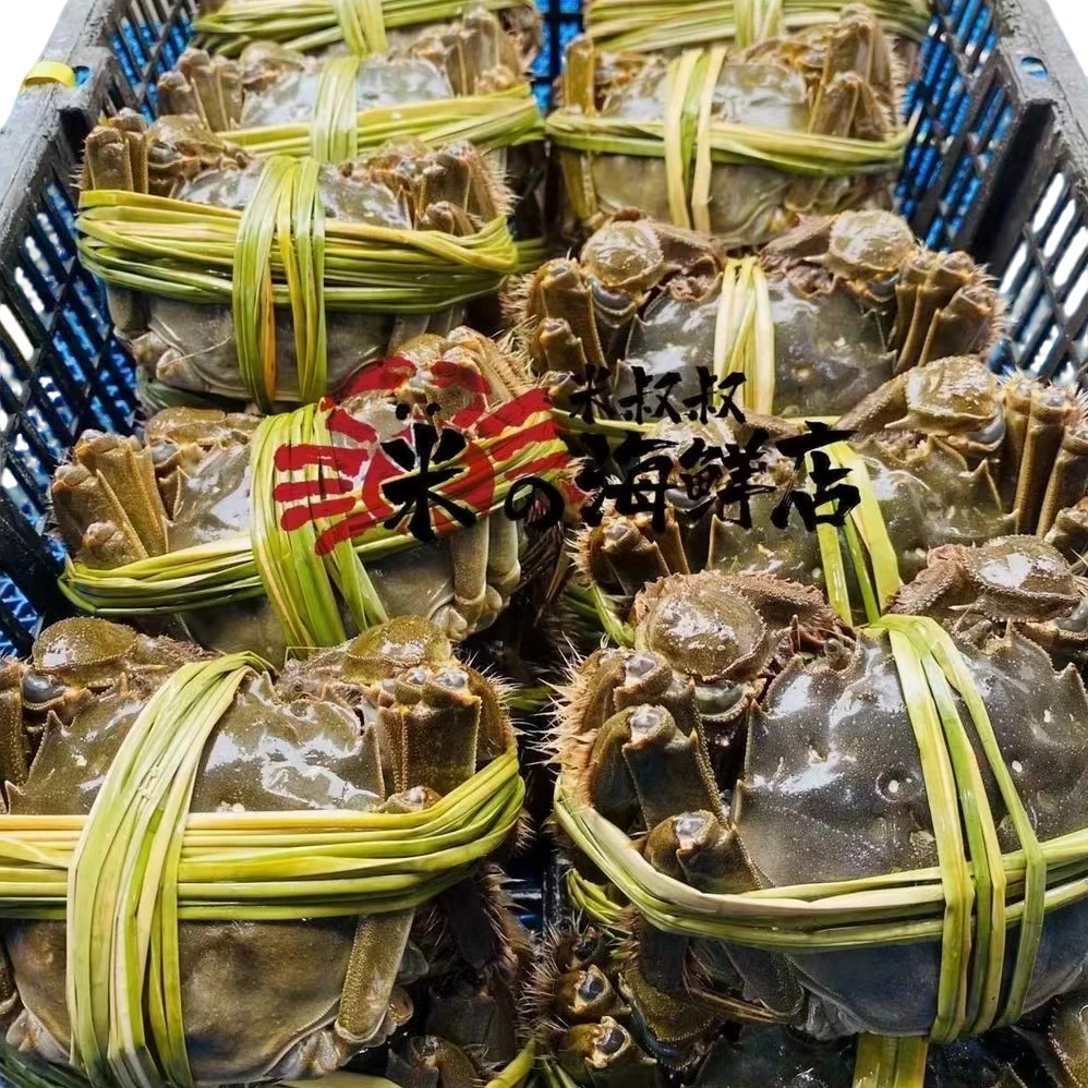 【活蟹】固城湖大闸蟹4公4母8只装（公蟹3两/只母蟹2两/只）