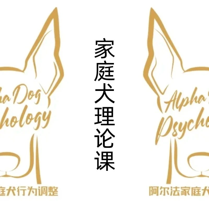 家庭犬理论实操课