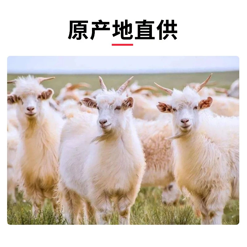 阿尔巴斯山羊肉整羊鄂托克原产地散养整扇50%腿排20斤40斤专属