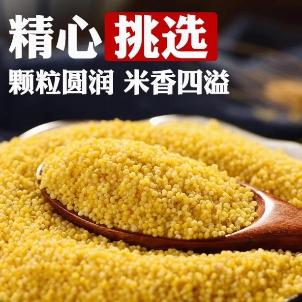正宗东北黄小米五谷杂粮新米粗粮早餐糯小米粥米油食用当季胚芽
