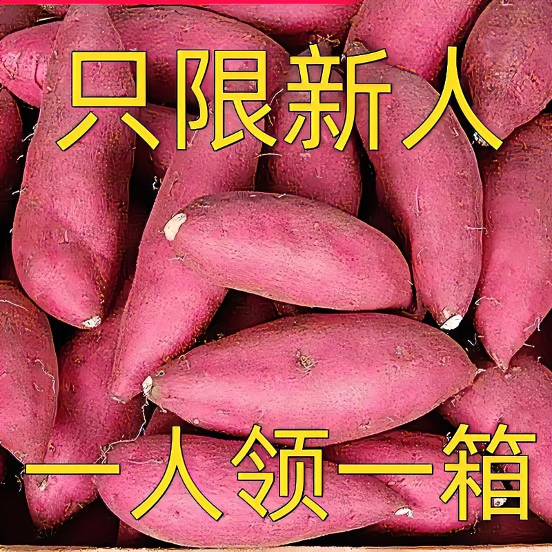 【抢购中】新鲜沙地红薯红心黄心蜜薯地瓜1-9斤番薯蔬菜水果板栗薯