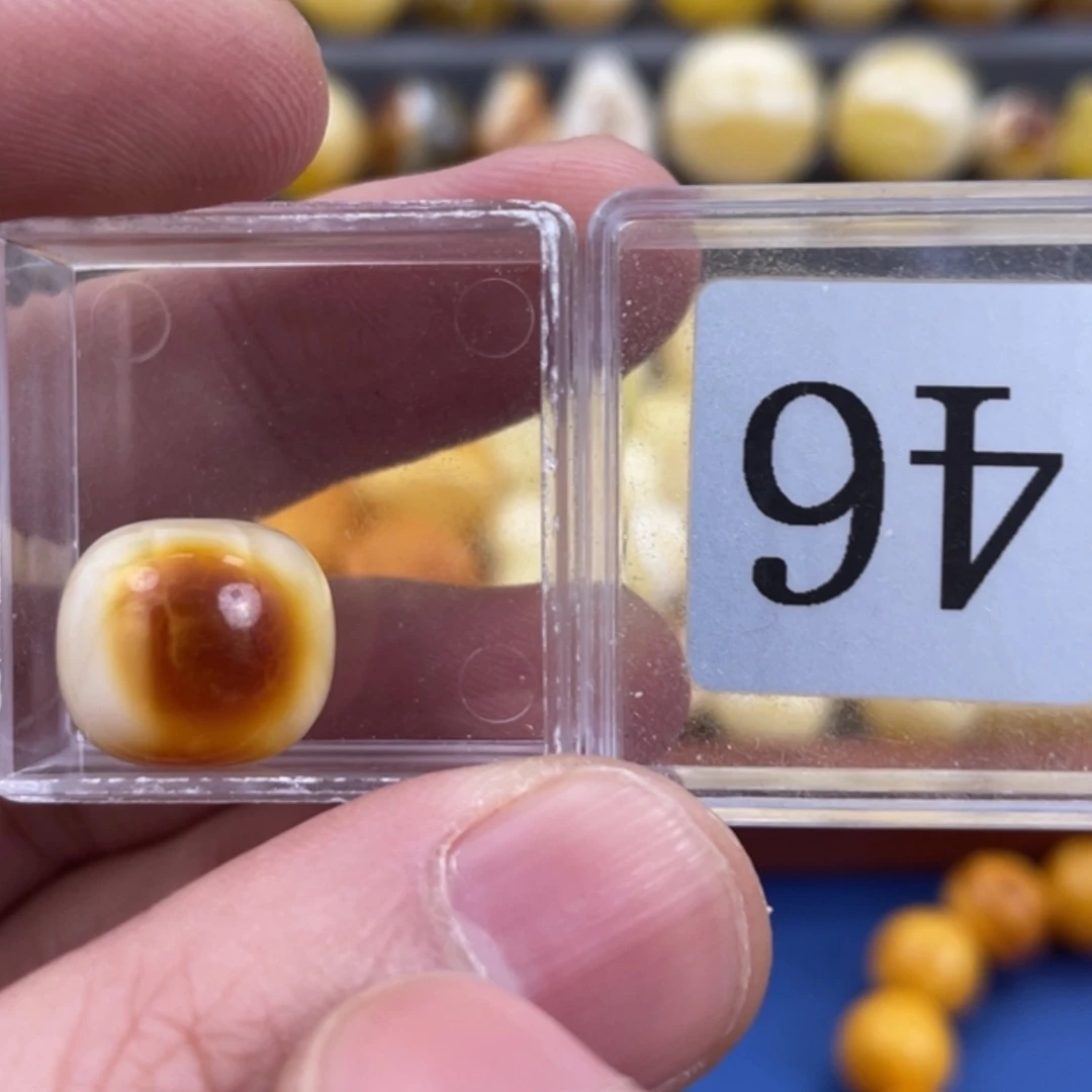 【闪购商品】琥珀珠宝奇石未镶嵌