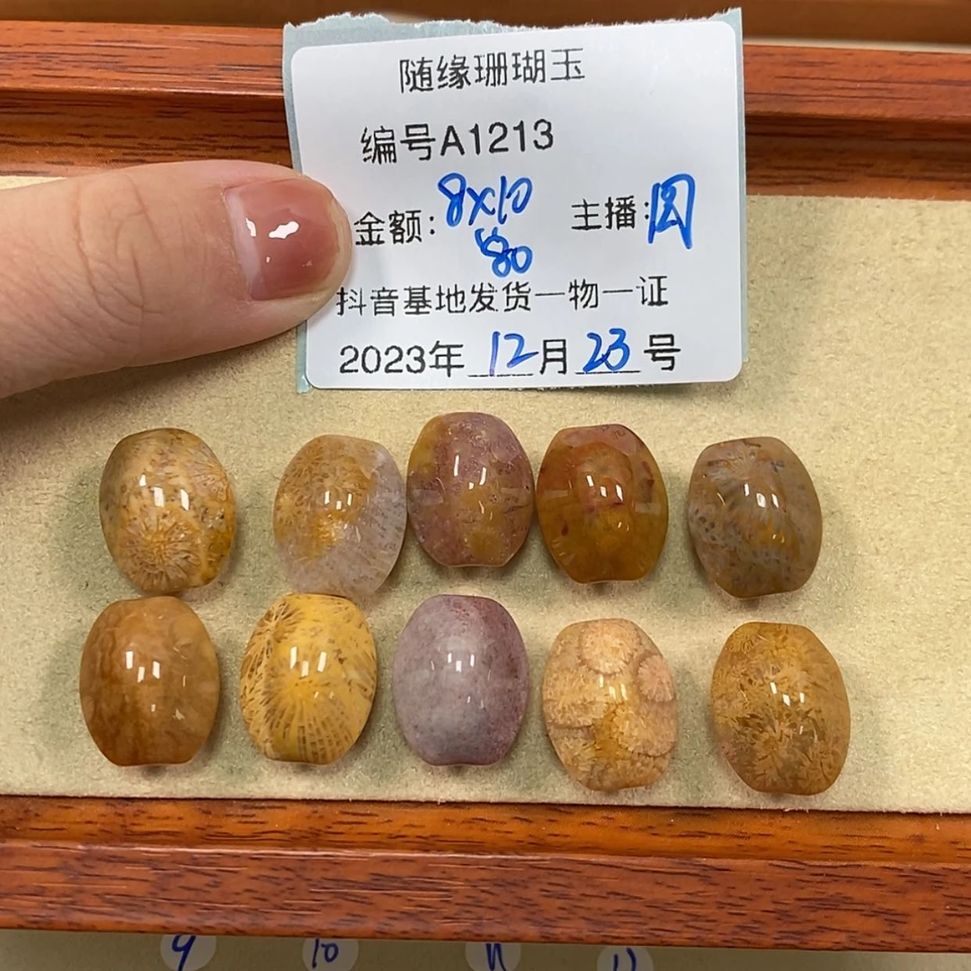 【闪购商品】硅化珊瑚（珊瑚玉）A1213未镶嵌四*