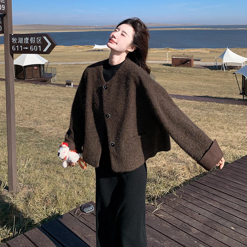 蓝海奕诺高级感小香风毛呢外套女2024秋冬新款韩版宽松小个子上衣