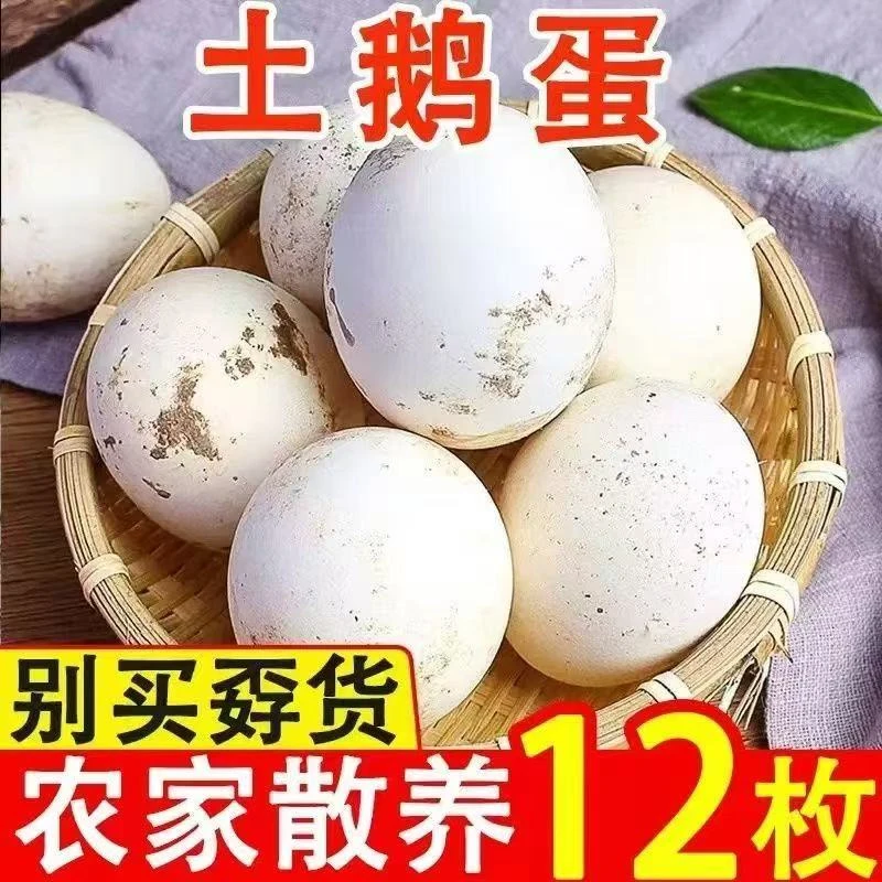 【小吴+】农家新鲜散养双黄营养土鹅蛋一箱12枚包邮单枚120克