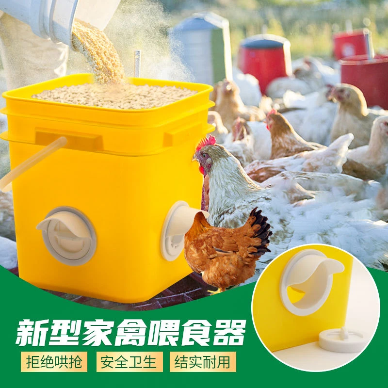 鸡喂食器全自动鸡料槽自动下料鸡食槽鸡喂料口养鸡设备家禽用品