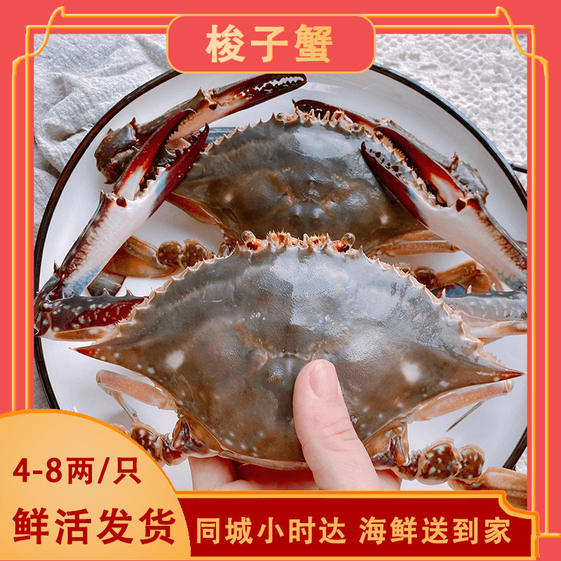 【鲜活】梭子蟹3斤（4-8俩/只）/杭州同城/包鲜不包活/