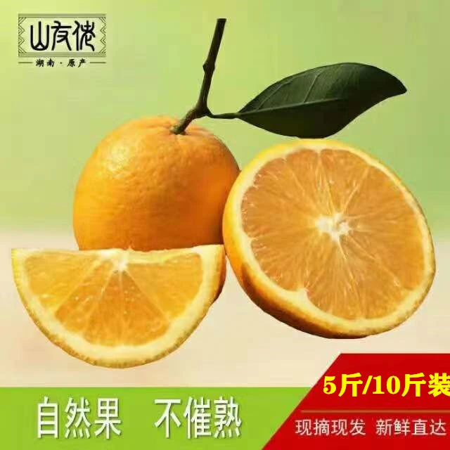 湖南江华山友佬 瑶山脐橙当季新鲜水果 纽荷尔脐橙 带箱10斤包邮