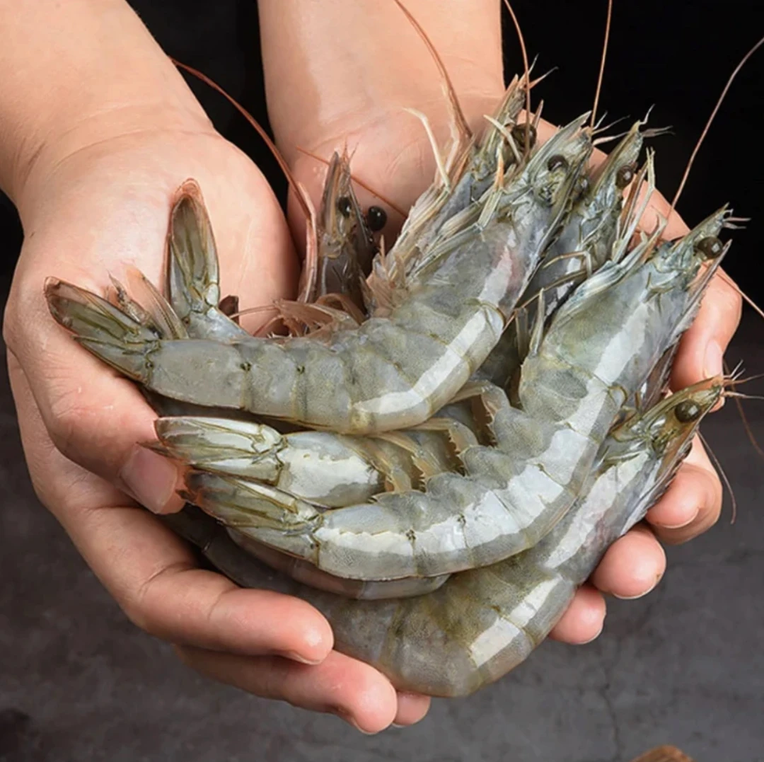 【小鱼儿】20-30规格大虾 3斤/盒*1盒 10-14只/斤 海洋大虾肉质鲜甜