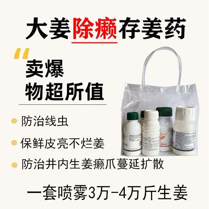 生姜喷雾除癞防线冲存姜宝 喷雾3-4万斤
