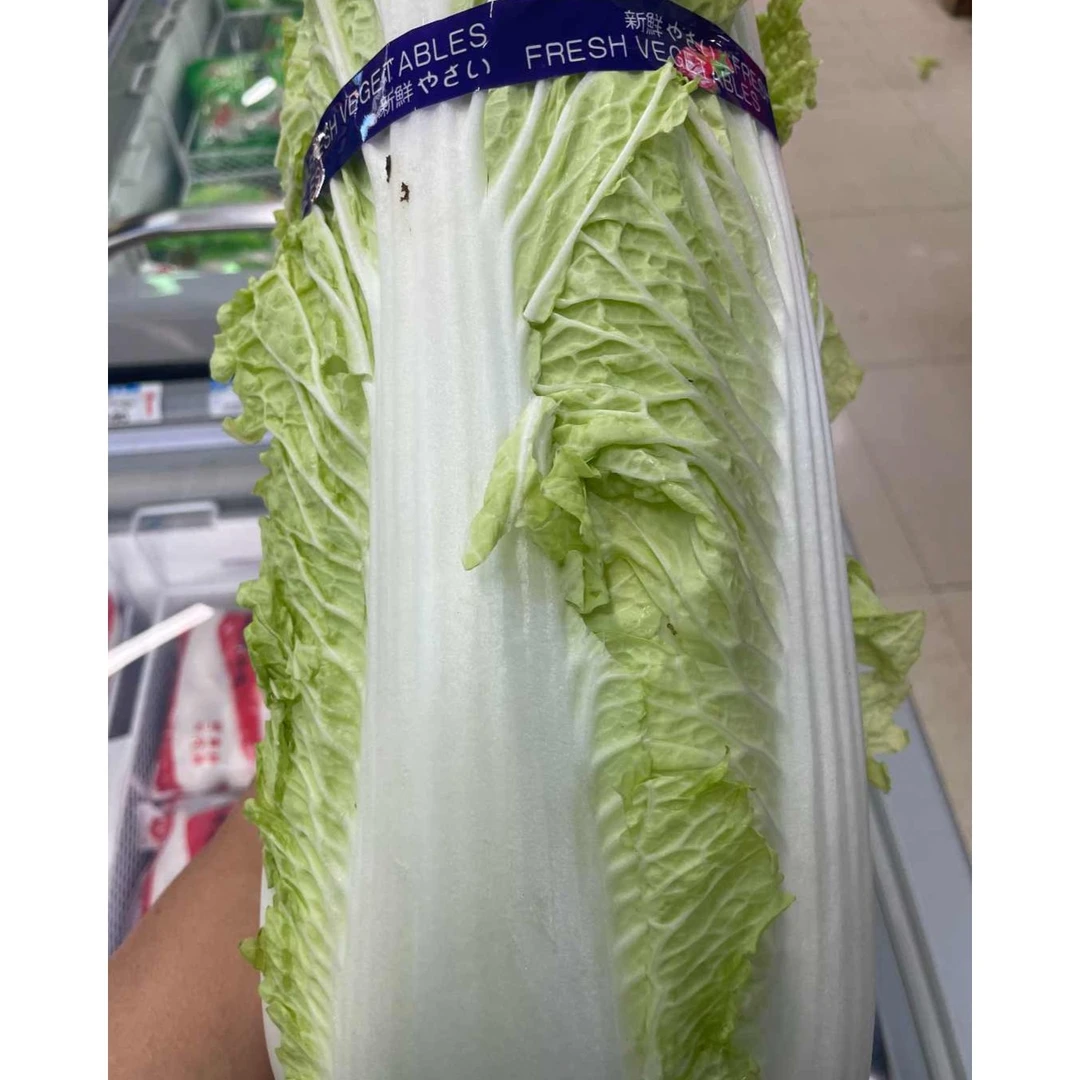 一颗大白菜