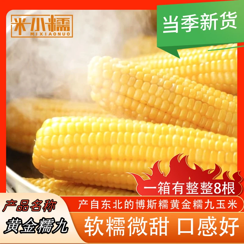 2024头茬糯九东北糯玉米粘苞米代餐真空包装180*8根BL
