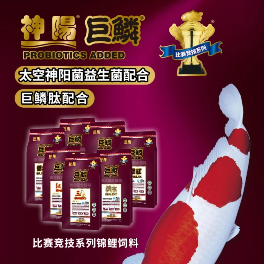 神阳巨鳞比赛级锦鲤饲料增色增体锦鲤鱼食增红鱼粮观赏鱼饲料颗粒