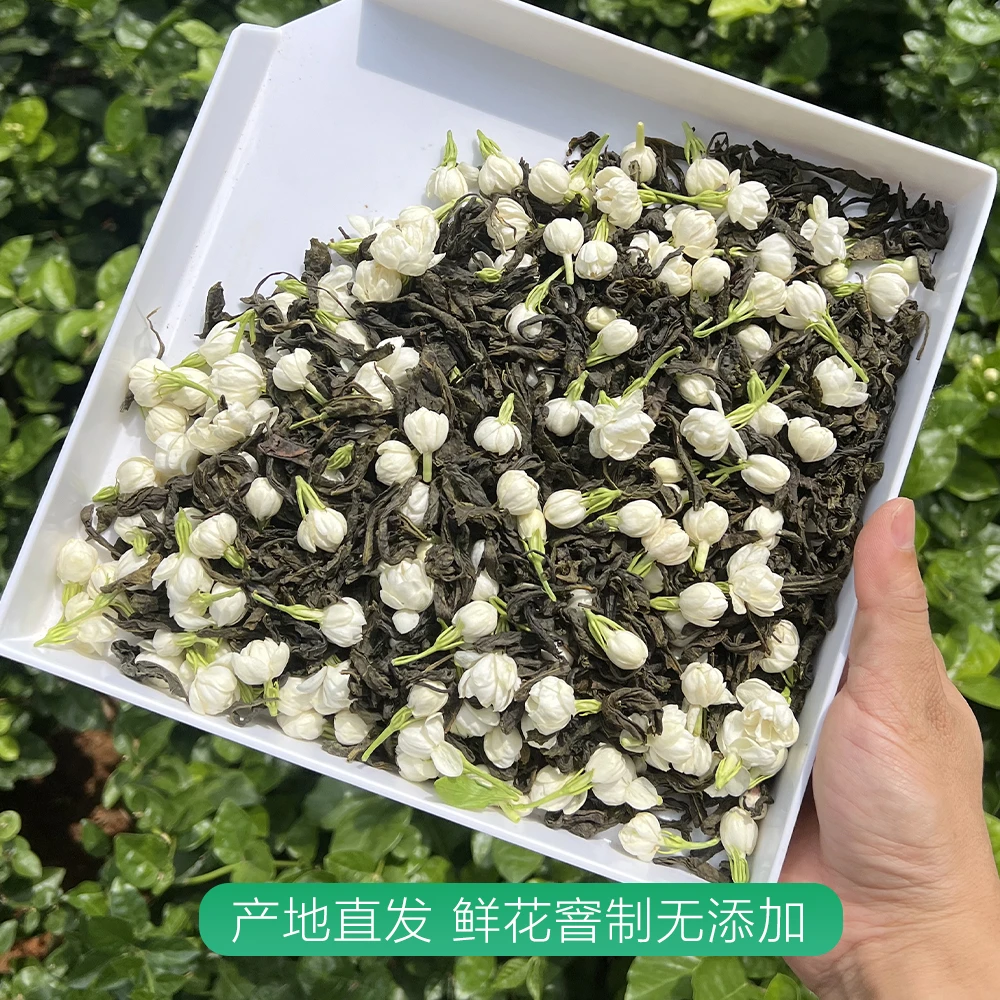 茉莉香毫清香耐泡2024秋上新茶大桶实惠口粮茶广西横州茉莉花茶