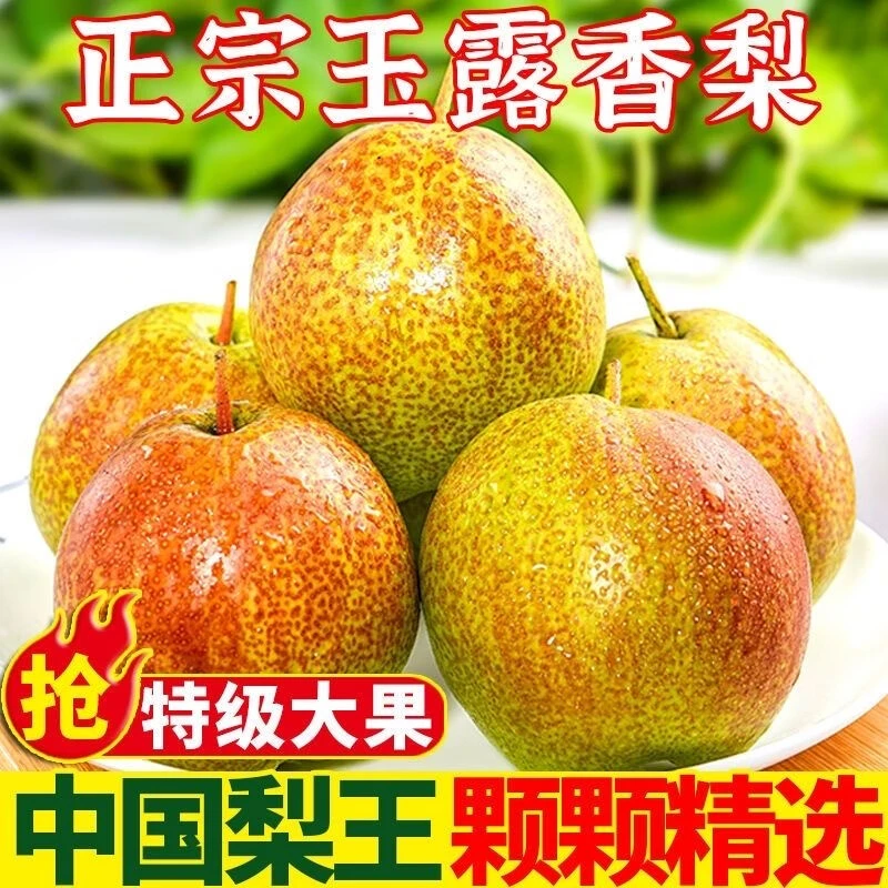 山西隰县正宗玉露香梨当季新鲜水果净重整箱皮薄甘甜爽口当天发货
