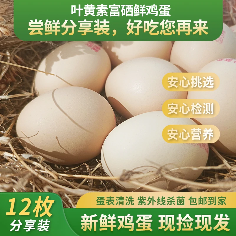 12枚分享装叶黄素富硒鲜鸡蛋无抗蛋新鲜现捡现发天然农场
