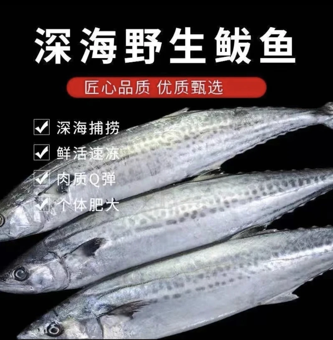正宗梅香马鲛鱼  一斤以上  五斤发货