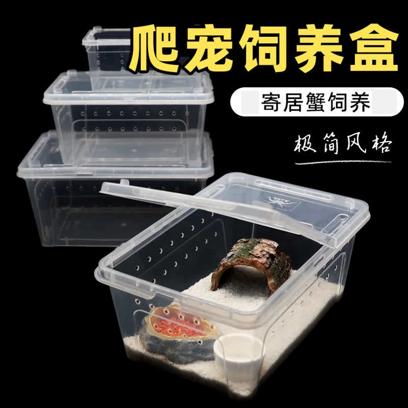 爬宠塑料带盖饲养盒箱～小中大号寄居蟹新手饲养盒