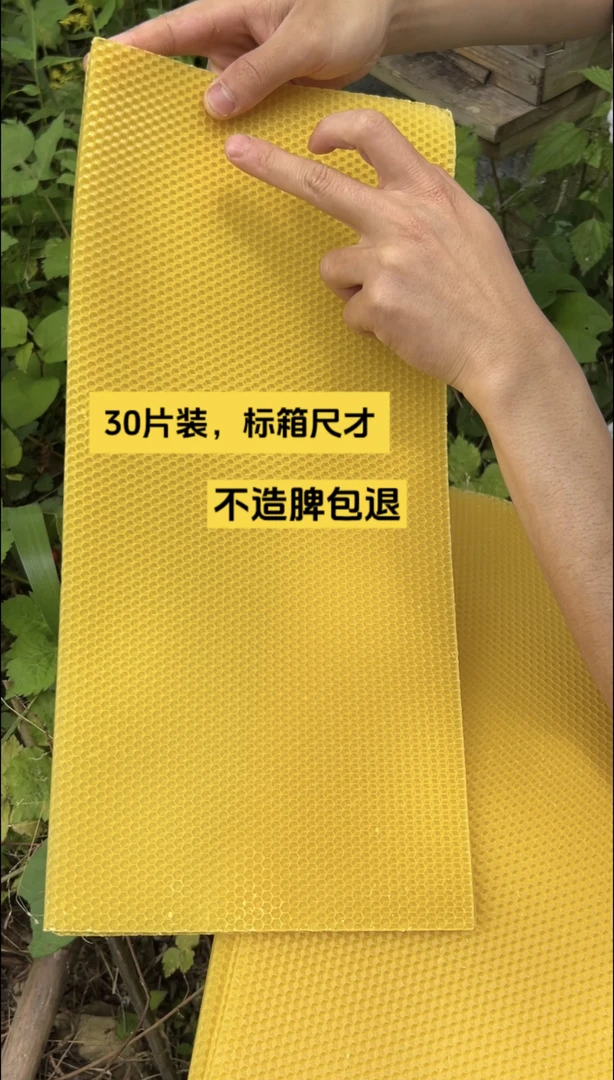 纯蜂蜡巢础  巢础  中蜂专用  中蜂巢础    （30张）
