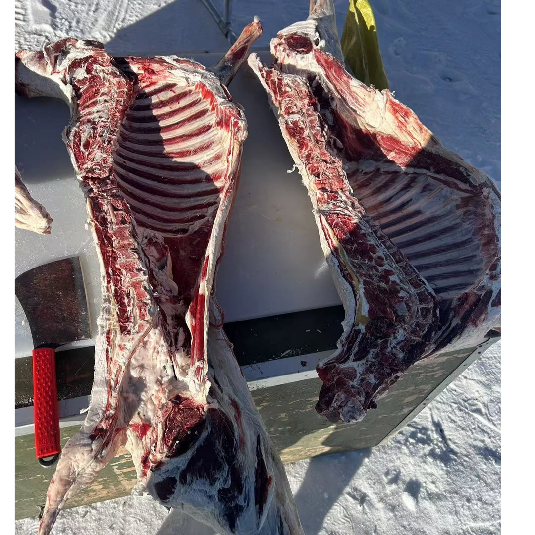 【羊排2斤】小郑牦牛肉甄选-柴达木盐羊