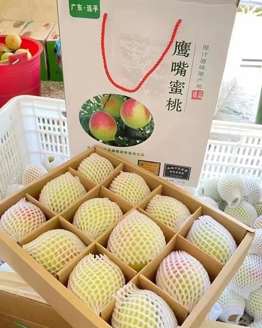 广东连平鹰嘴蜜桃