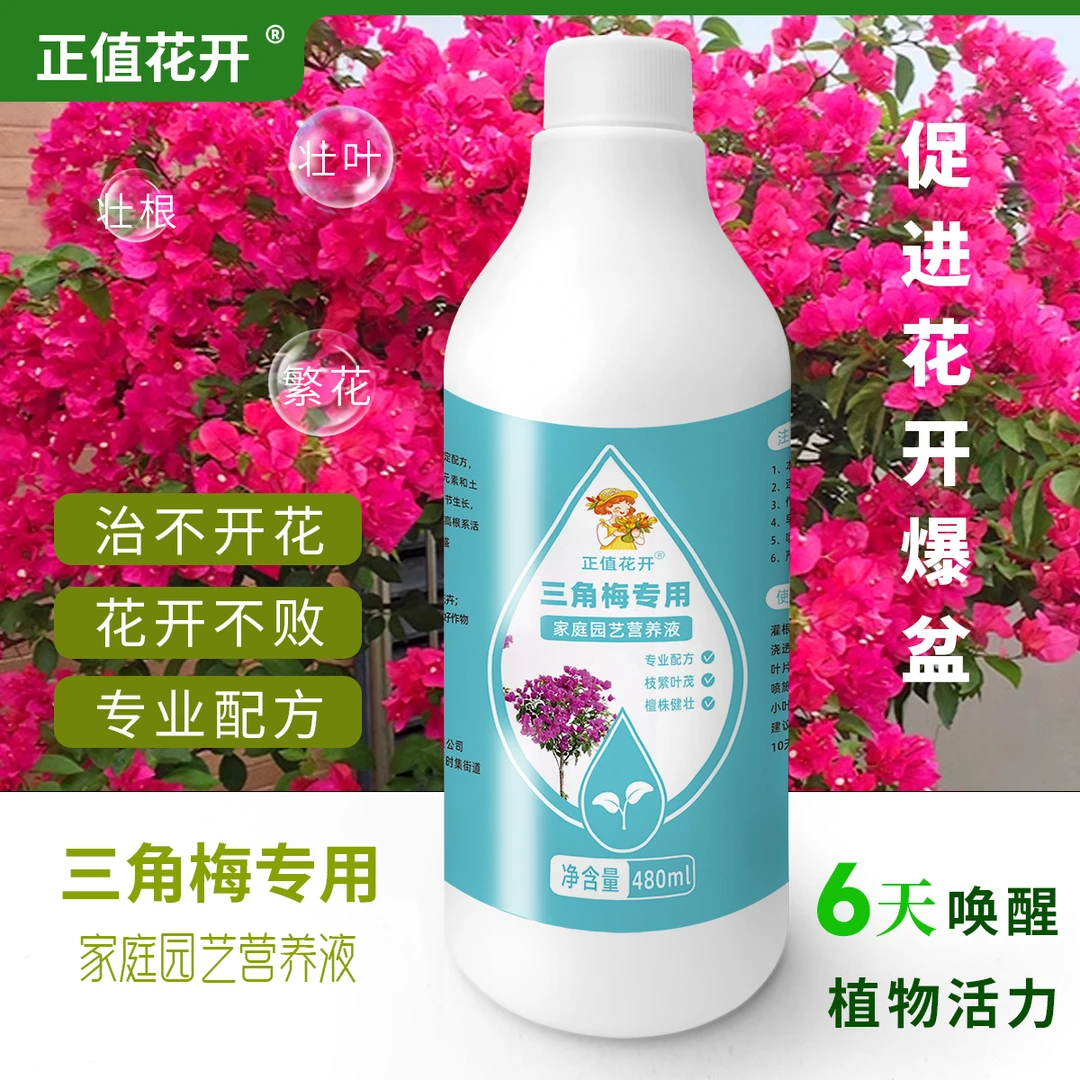 营养液植物三角梅营养液专用肥料水培促爆芽防黄叶发霉生根